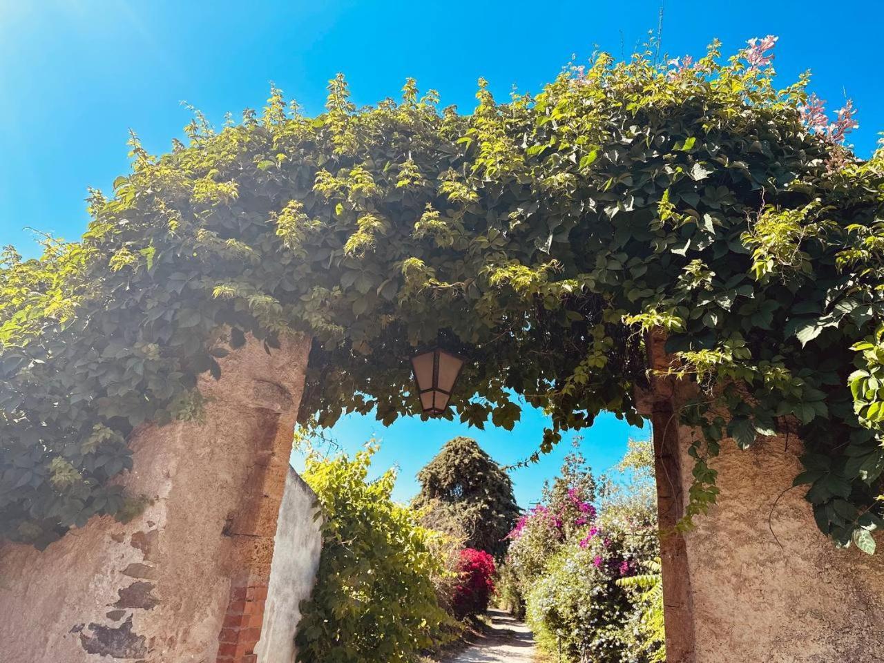 Villa Tiche チェファル エクステリア 写真